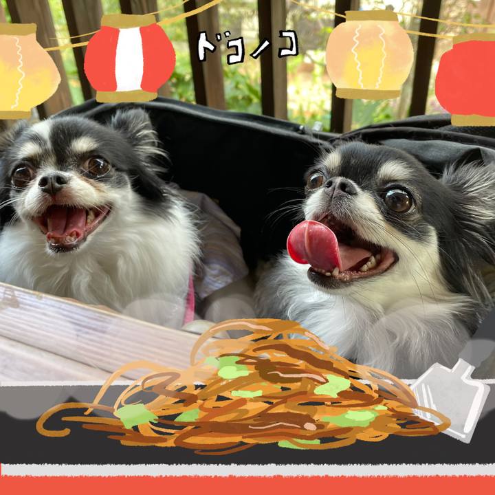 04455d82 4533 42de b0c4 dd8e0f5c83b0 1755195740049