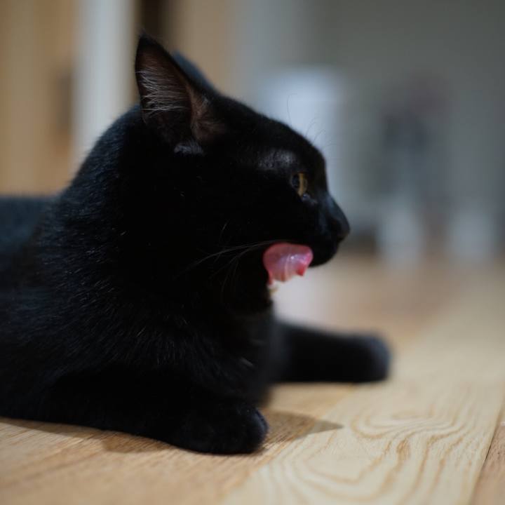 04455e8b 4c9a 4288 a388 f4d08b54ba56 1529935001228