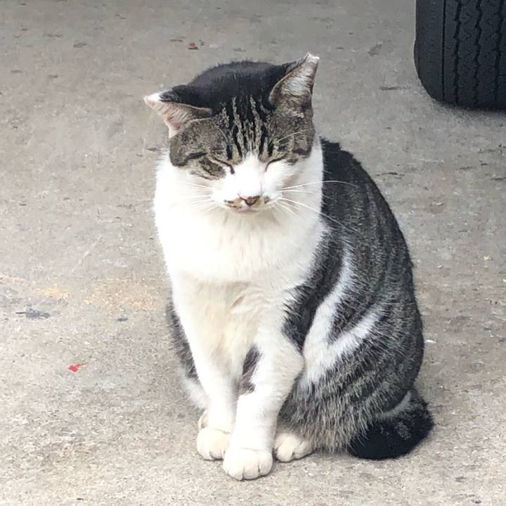 04457b2a 550a 47ee 9ae6 f1df4bed7489 1601771792428