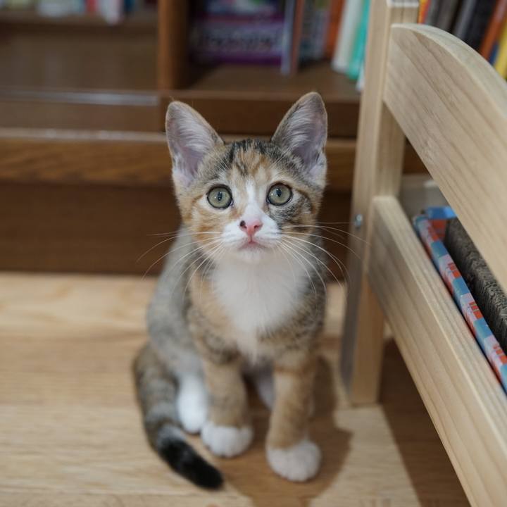 04462653 282c 4d3c 83cc 056d7fd79359 1568676681753