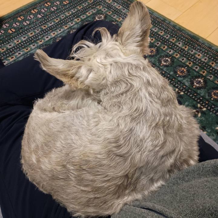 04464ac8 a80e 4f23 8a0e 1b20941e984a 1765978873956