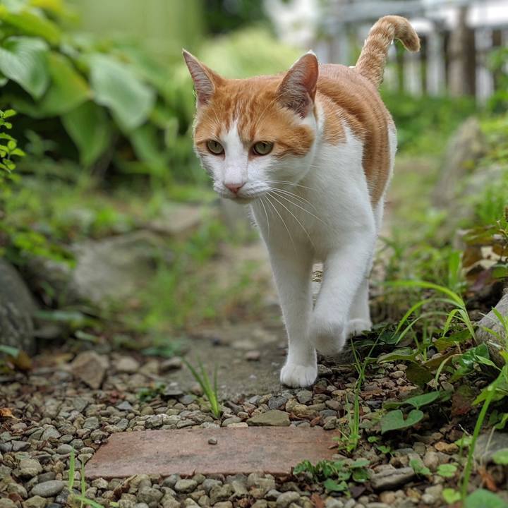 0446567b 4f1f 4dd2 9887 b0da183ae5aa 1565697614002