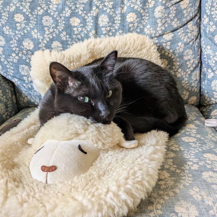 0446857c 37d6 4b7c a6b3 ae4ff92ad6c5 1769039777775