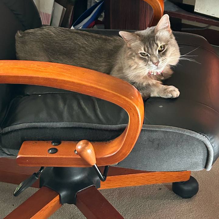 04468776 91a2 49b3 b97a 8f2bdb59dd85 1765032100645