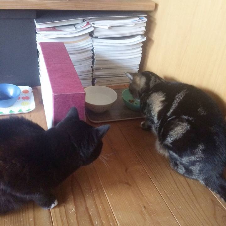 0446a5f0 eade 48bb b096 f09051fb1b34 1522239390105