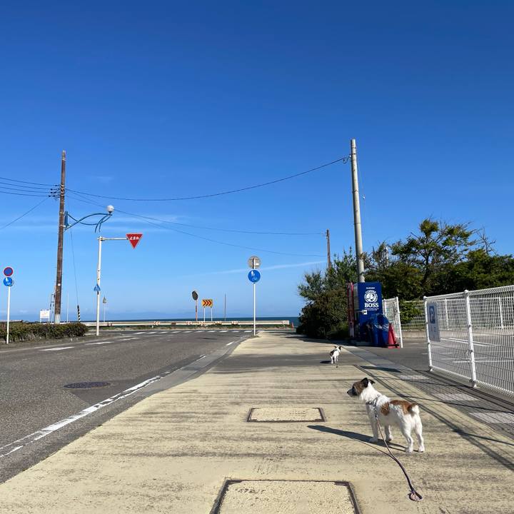 0446c02e 3490 426c 8c3f a4faa705ac1f 1651973226889