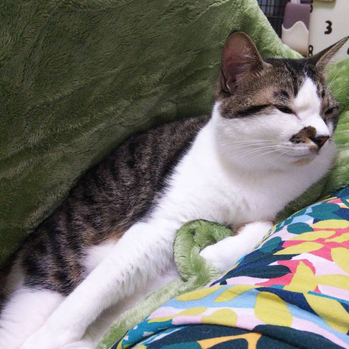 0446f768 2fd6 4b6d a6bb 89b60a27eb85 1635661210883