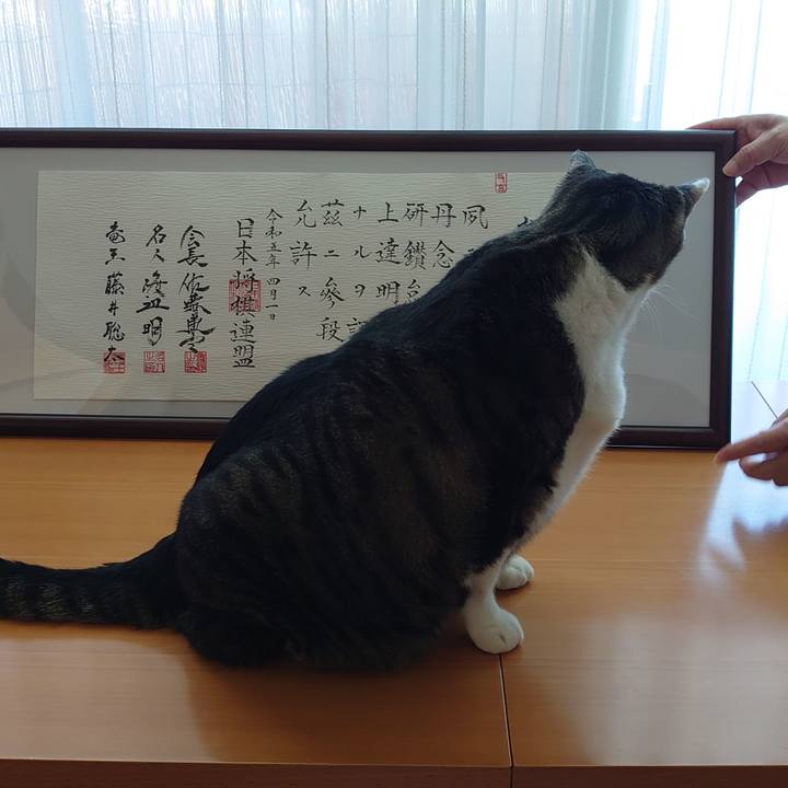 04470d6d 4edf 46ab bf18 63cbdcad1e10 1691221178015