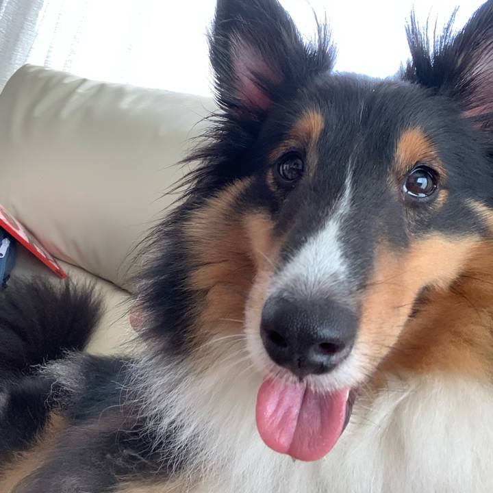 04475101 f390 45e3 ad66 9a87612863d7 1596579178930