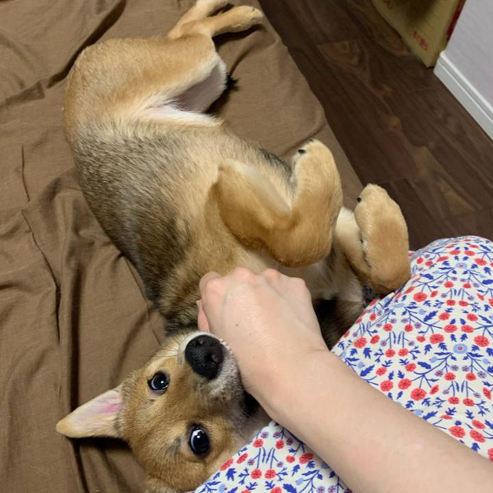 044754ce 5c41 45c9 a5c8 230f7ae468e1 1623161231883