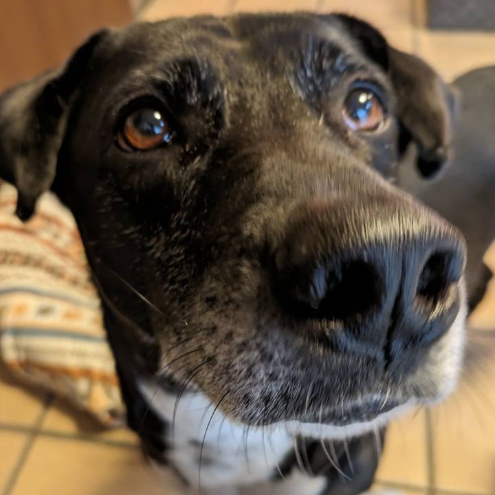 04475fc0 7368 4134 a7ee bd6477da5a4f 1711154554183