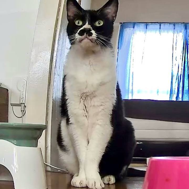 04480501 2b56 4484 baa5 fd8d46f417a4 1721306025344