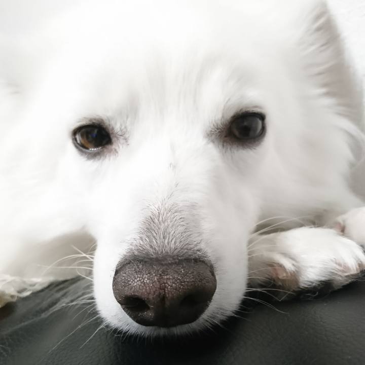 04481215 17dd 46db 910e 85d6255605dd 1552570036504