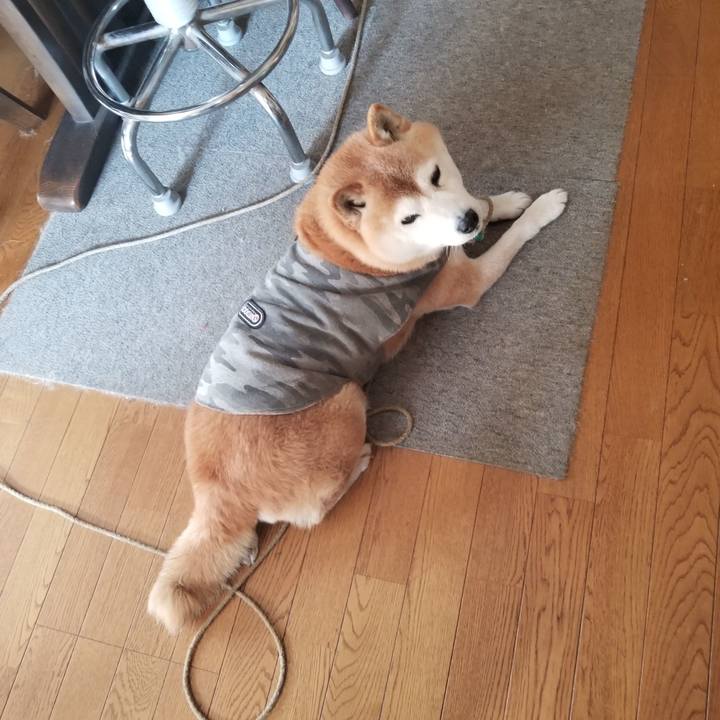 04482e96 1d2d 4d79 ab45 74c71d57b8b1 1678837832023