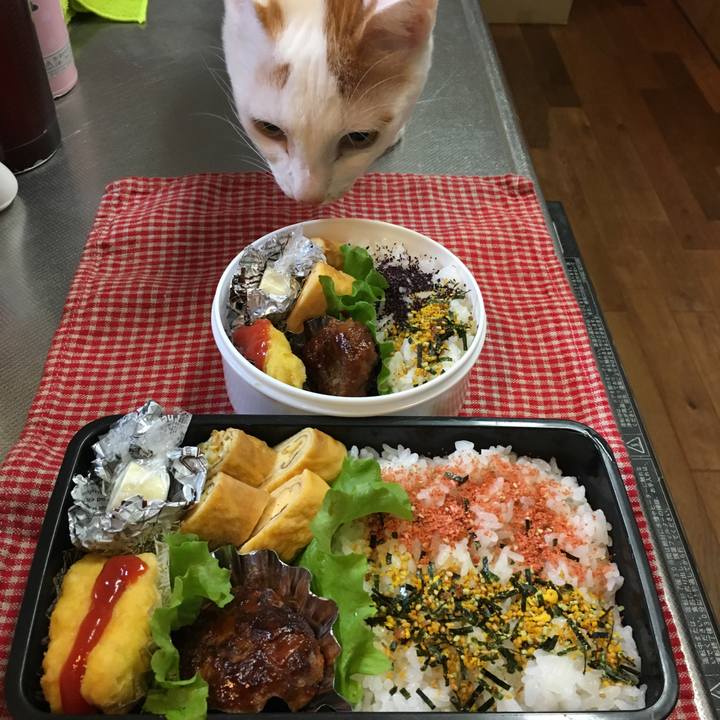 044846c0 42d0 447b b34e 48d524555bab 1511732960937