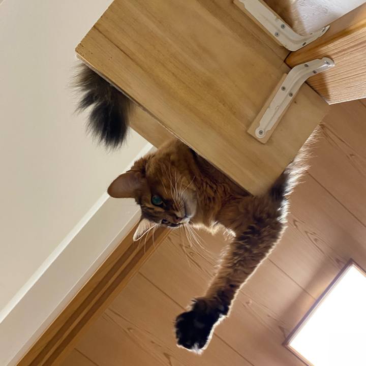 044885a0 ae97 4af0 a4ec 83a3df39554a 1639487911705