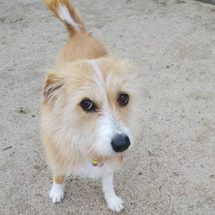 04488a2a c410 42c5 8e31 10ac7a2f1896 1520419346233