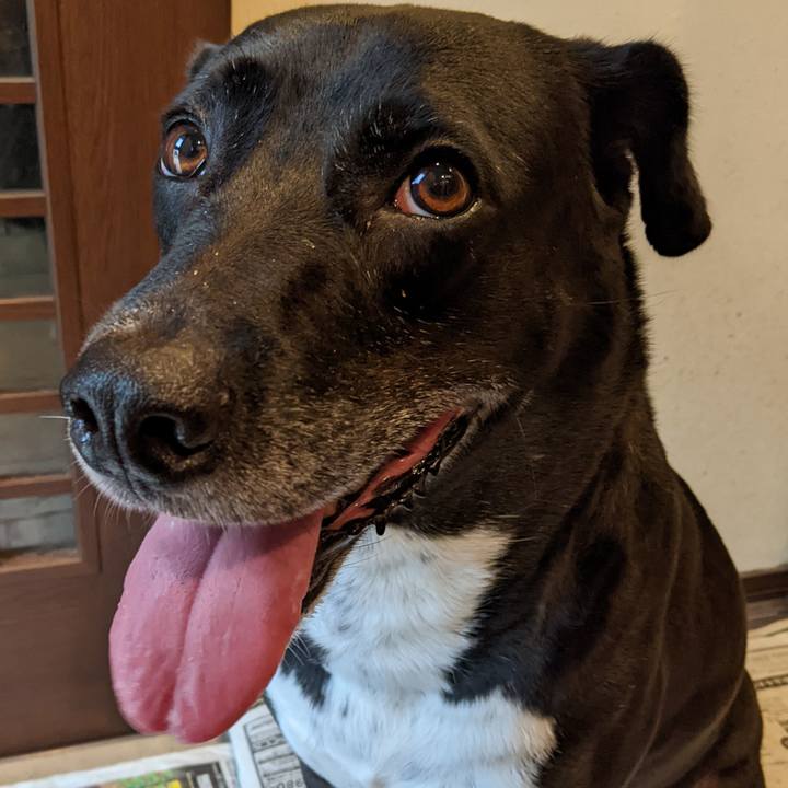 04488a9d d71d 4e4e 99ec 6f433ec61864 1661039124964