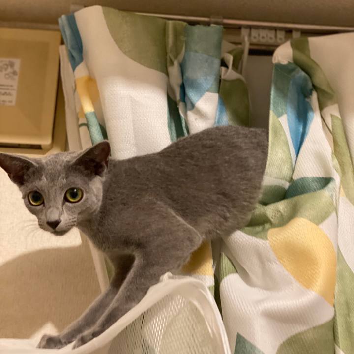 0448a55a c9e8 4008 8a52 f207c2f07cb0 1599308143663