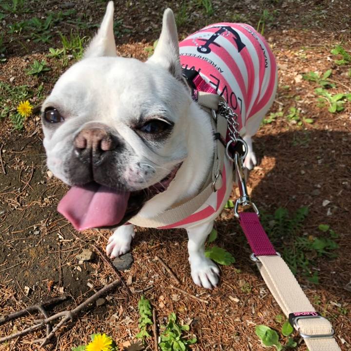 0448c136 c801 4e1a a7ef 99f8033abc29 1555647226971