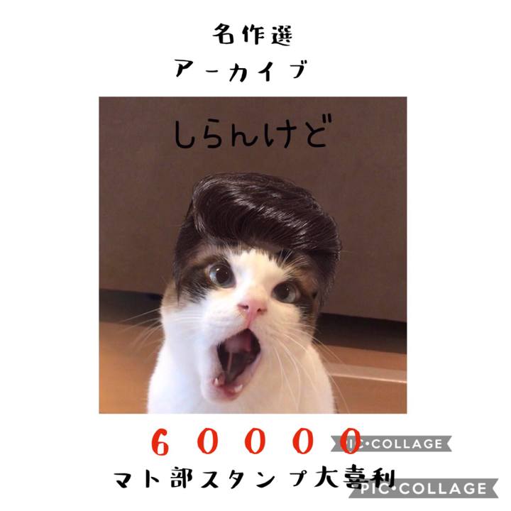 0448dedb 6e74 4794 918a 122e40ad9fc5 1578466745255