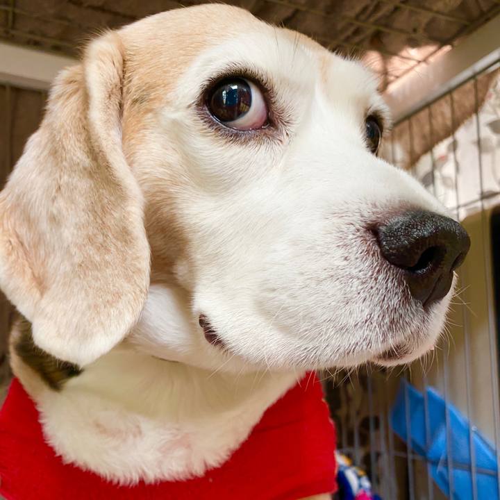 044909a9 d21f 41cb b496 0121d9d5aad9 1586662894771