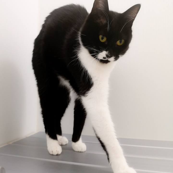 044927d2 64a4 499c 8946 be583cbbcade 1549128917385