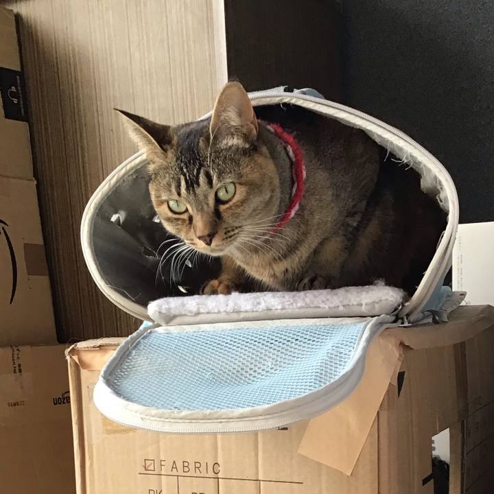 04492db3 b661 4e6c a39b 489b797ac8b7 1612944190859