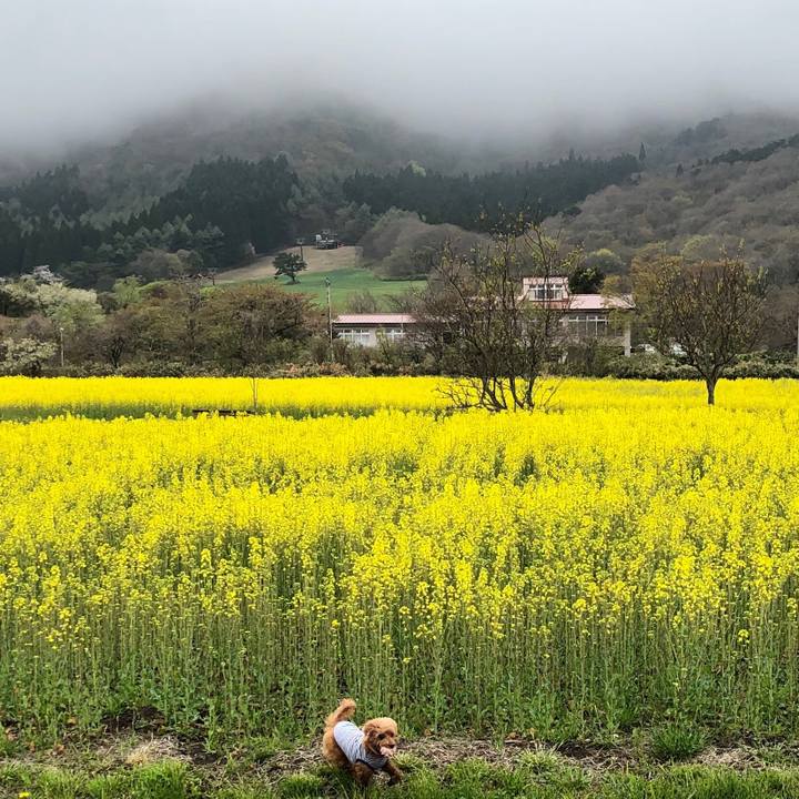 044958c3 28c7 4fb1 a666 6a7f61eabe53 1556689767593