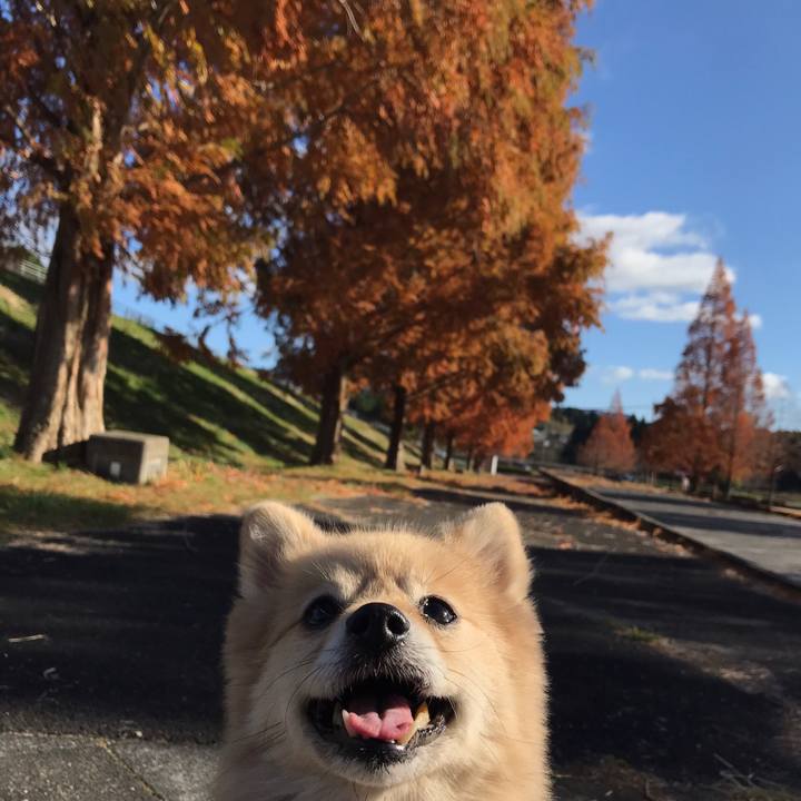 04498e61 9b85 4610 b592 b713d24892d1 1607430784698