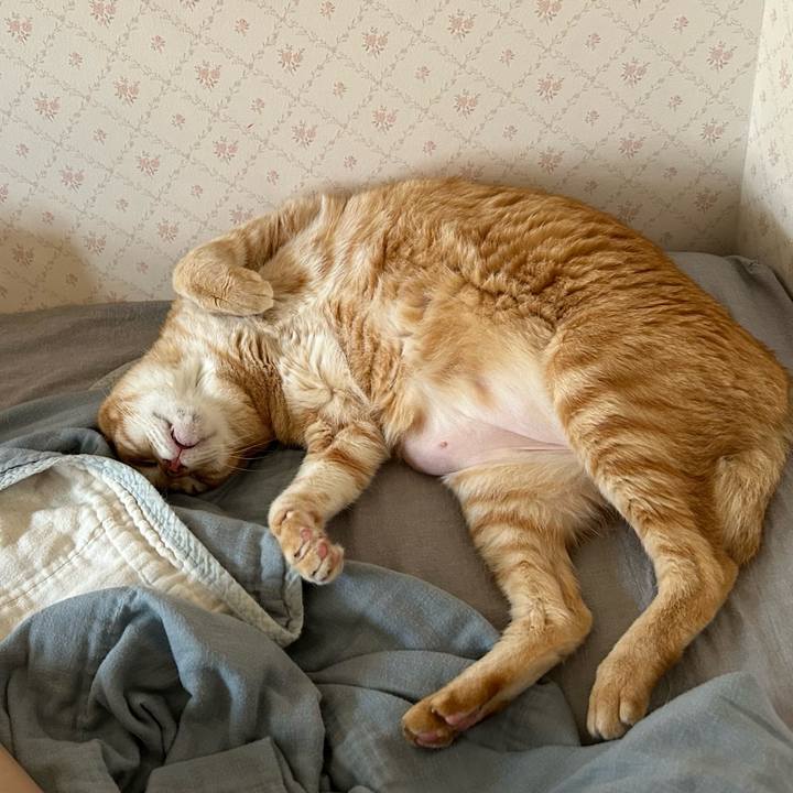 0449a197 845e 4407 aa5a 29107fcb2dab 1689412409123