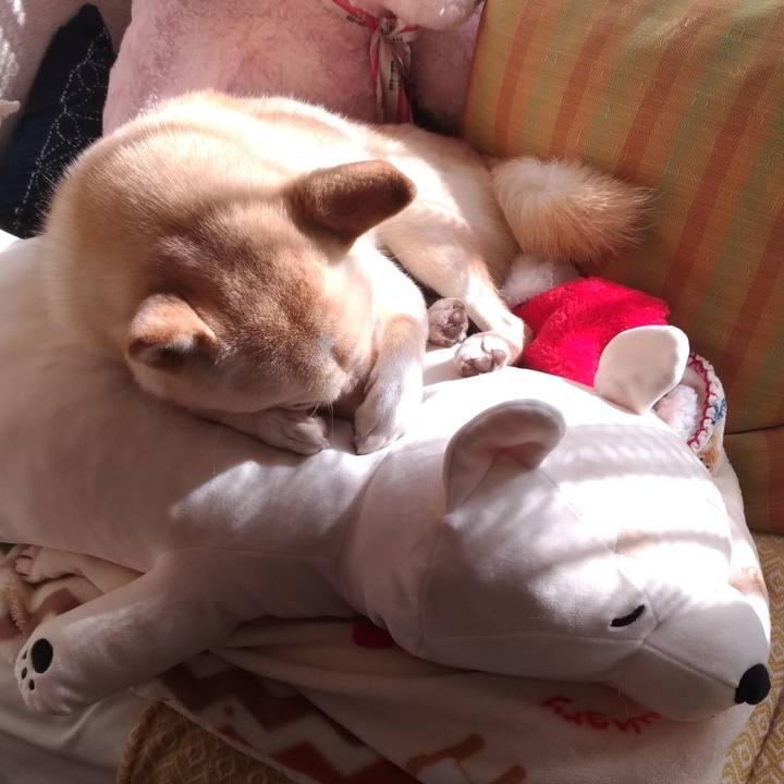 0449a45c 06e1 4e20 bcc9 8fe919ad028b 1545361576574