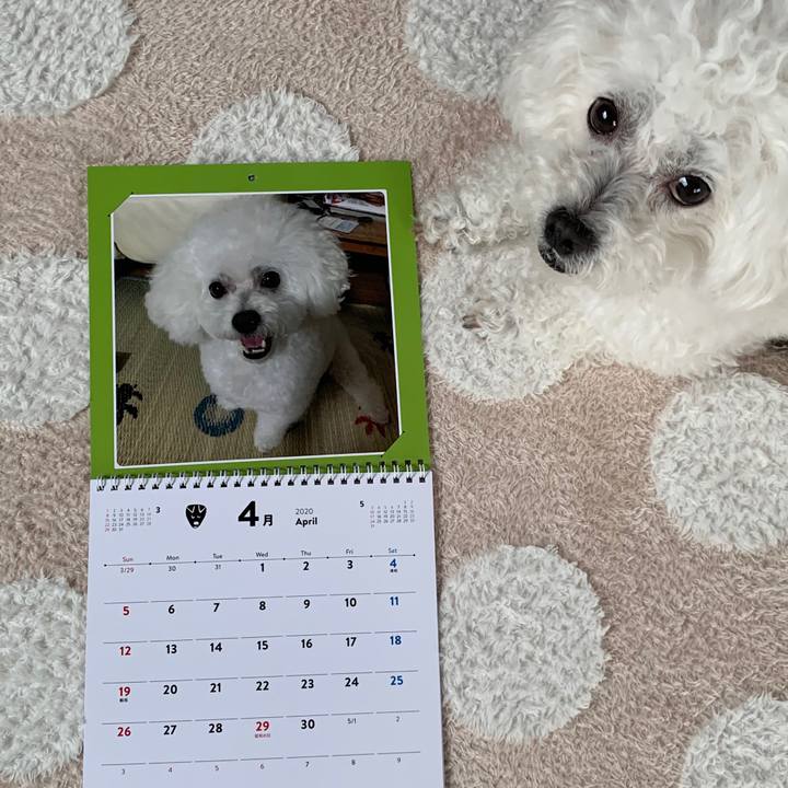 0449c203 41e9 4ca6 a0fd 9542116b8b15 1585790174177