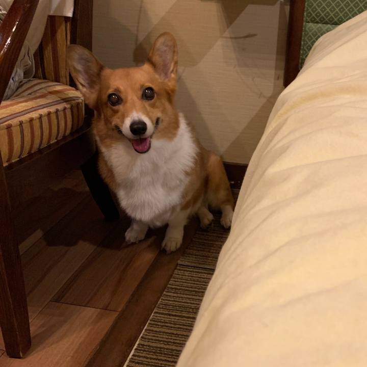 0449edc4 f67a 4cc8 9760 c4f7137dba68 1568802317720