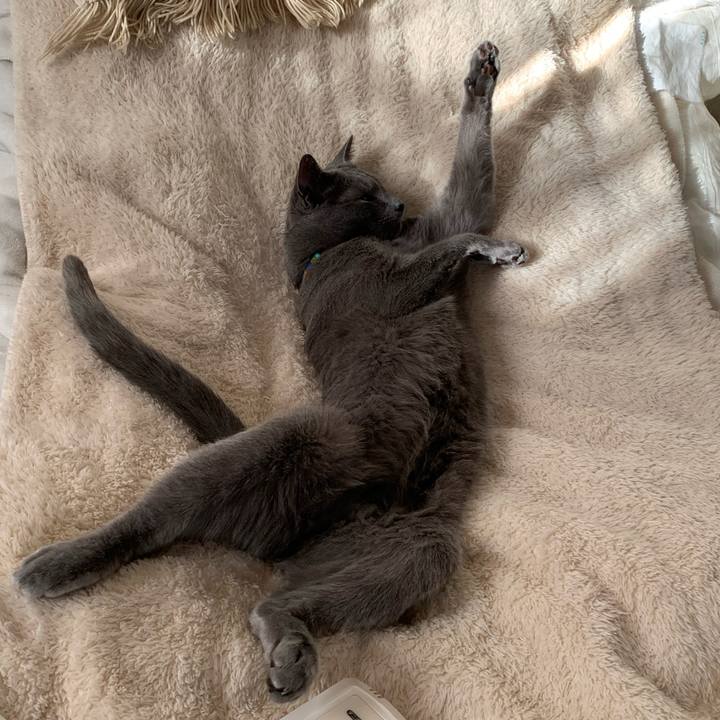 044a7b3a 3003 46ad b8d8 c8a071a0d165 1640932546318