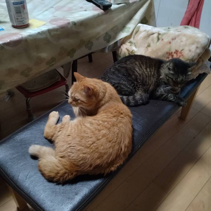 044ac1aa 85cb 4092 8bf7 1e29a2ff550e 1721168044769