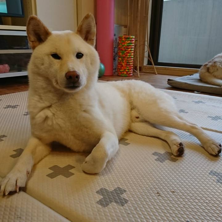 044aec1a 13d7 49bb 8bfc abfd94ed705d 1548458252313