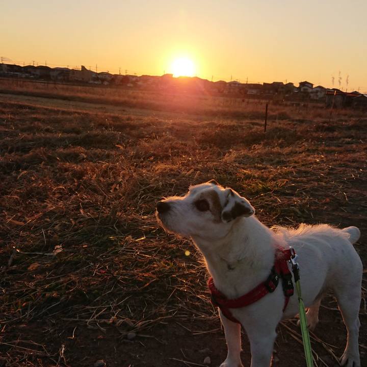 044b3728 6b03 4857 8f28 374c5dcd7aed 1548072403621