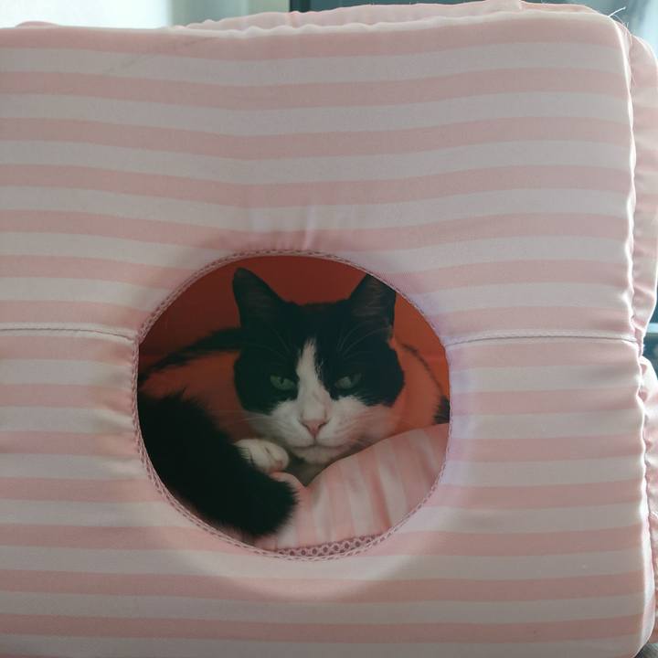 044b4b53 f354 4134 a84a 91ef03fcf244 1602041717612