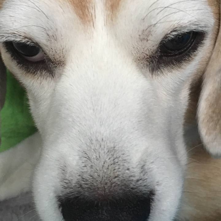 044bdfd4 6ed0 44d2 928e d013ac5eeaaf 1556698254595