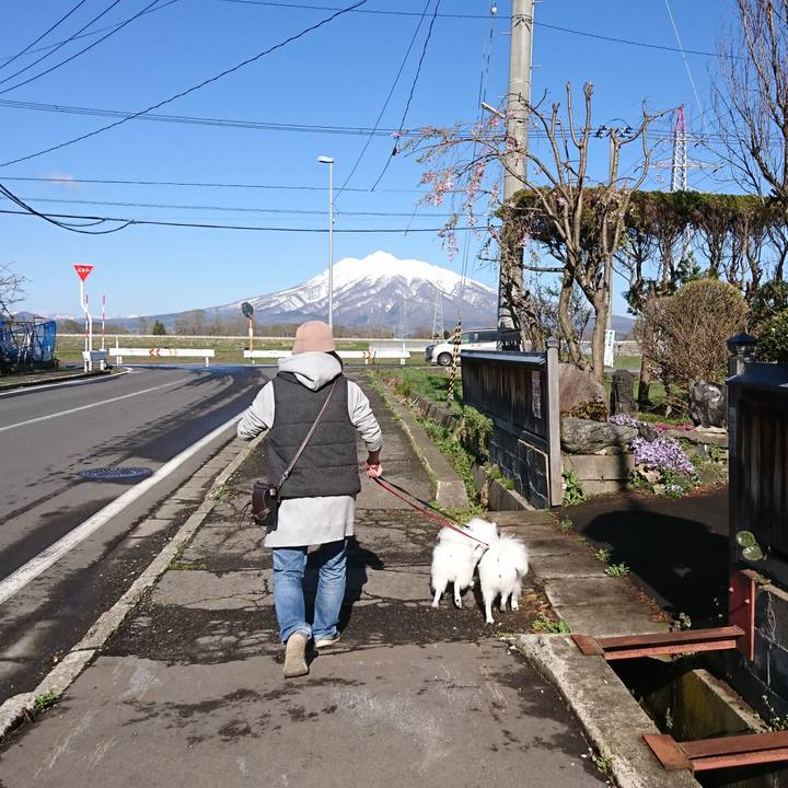 044be656 78eb 44e2 90e7 8a69e334a30c 1556413635597