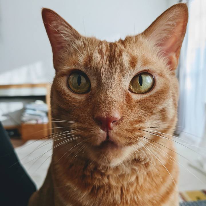 044bffe9 f50a 4d01 ae4c 09c8d1e7389b 1652516674133