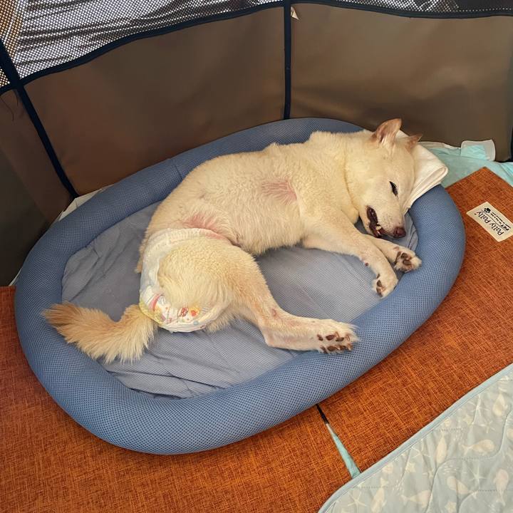 044c0459 907e 4404 b343 bba7f0e4cfb9 1664859550869