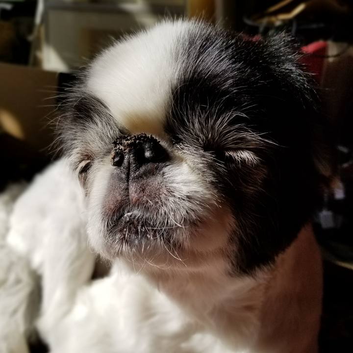 044c151a 3a13 4892 be37 b0e1751424b9 1576402288028