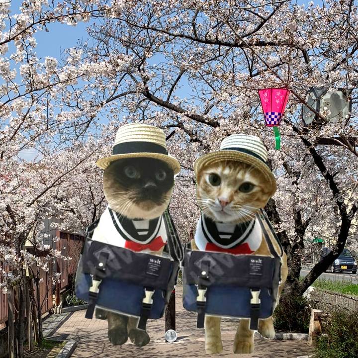 044c5040 19e1 442f 917e 5aea4f96f7bd 1616884601502