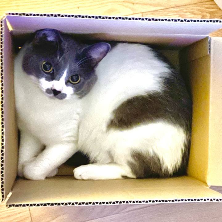 044c7496 3ece 47ca 928d f56849b63a82 1659710925319