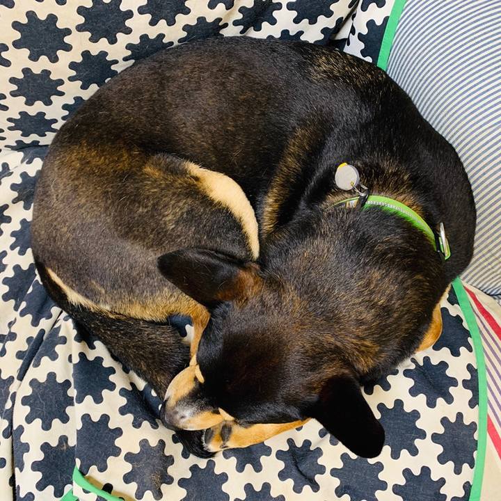 044cd483 4013 4663 90b2 18a29e587257 1559487660906