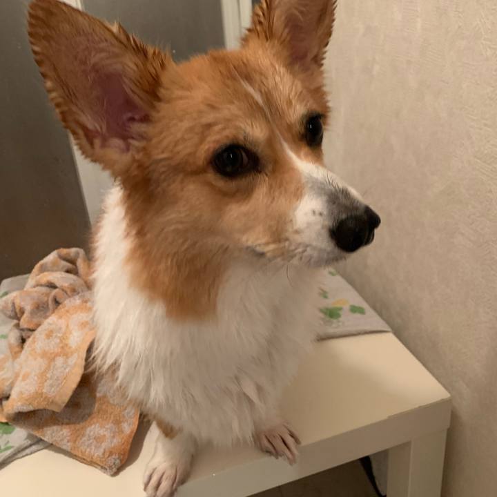 044d2b86 0ca2 43ef 9a0f 513e65db5c48 1572693850205