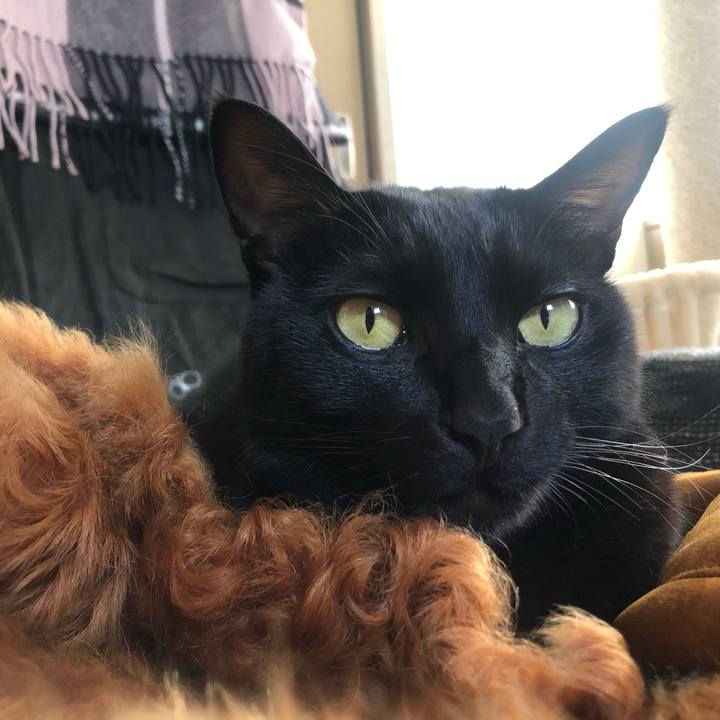 044d366f a8e7 41a2 a377 7a591fc666d5 1642229974421