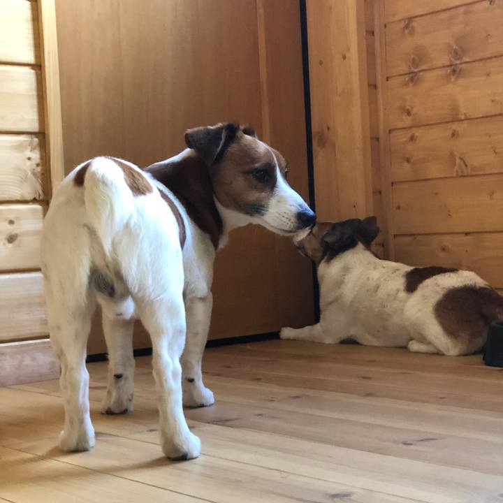 044d3ab7 ce25 4248 b81a e8b0ad3e050d 1522458279120